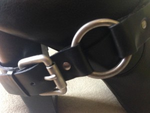 harness detail